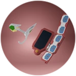 ZeXal Disk + Duel Gazer