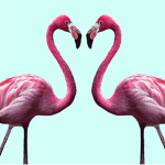 Flamingo's Secret Club