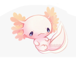 Axolotl box
