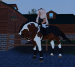 {<<Majestic ~ Equine>>}