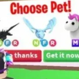[CHEAP] adoptme attire