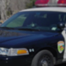 Own A Police Station/Jail Tycoon icon