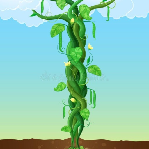 Find Grow Beanstalk For Brainrots