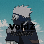 VoidZ.