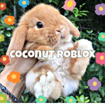 Coconutroblox