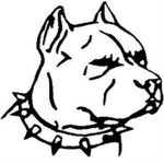 Pitbull Games