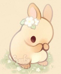 BunnysHeartforever