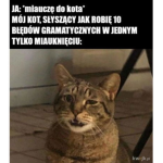 Ja gramatyka umieć