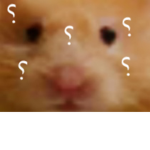 هناء محاربة الملل