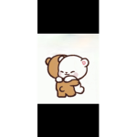 Bear cubss