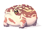 Lil Froggy’s Clothing