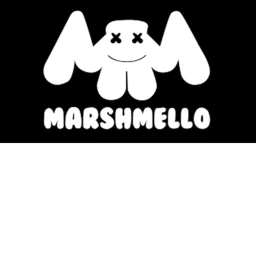 Marshmello  consert (starts at four o'clock) icon
