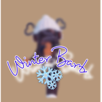 Winter Barb