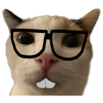 nerd cat community