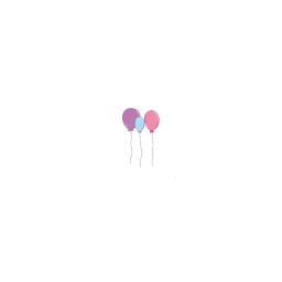 BIRTHDAY