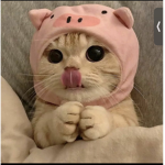 BADDI3$ <3