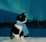 И ди на ху и