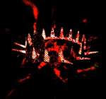 Fvped’s Clothing