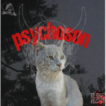 Psychoson