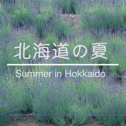 Rural Hokkaido