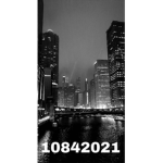 -Silent Assassin's-