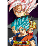 Dragon Ball Super Clothing