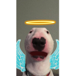 WALTER IS KING