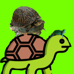Order of turtles