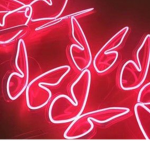 Plastic Cherry's
