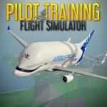 Pilot Training Flight Simulator