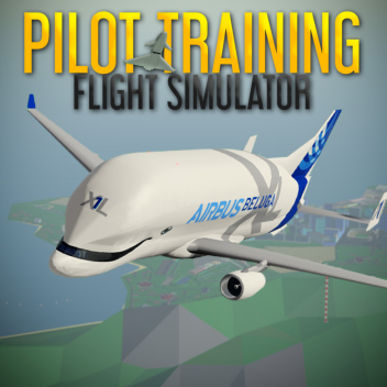 Pilot Training Flight Simulator