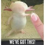 SAVE AXOLOTLE CLUB