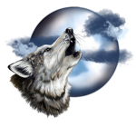 THE WOLVES GROUP!