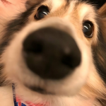 Helen YT