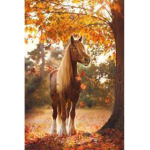 Horsey bffs