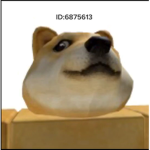 Dog go army become the general of doggys!!!