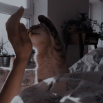 sacrificiaI