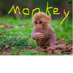 Monkey Gang 1
