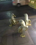 BANANA DUCKS!