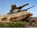 The Cat ARMY/NATION
