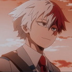 Hero Academia fan