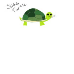 Turtle Swag #######