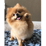CuteGal