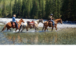 ! River Rides !