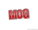 MOGGERS STUDIO