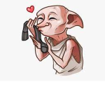 Save Dobby