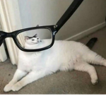 킹받즈