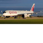 wow planes group
