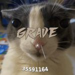 GRAVEひ