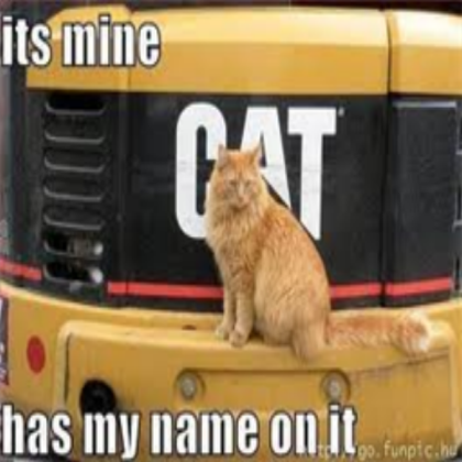 Funny Cat Picture Roblox decal